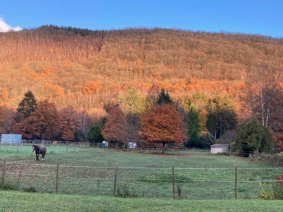 La Bergerie Villa Thilay Kültér fotó